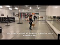 Fox - dog aggressive Irish Terrier の動画、YouTube動画。