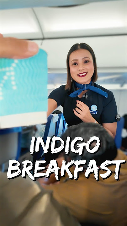 I Was Served A Cold Veg Roll On Indigo!! ✈️☕️🌯