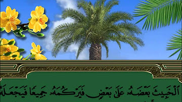 سورة الأنفال :: فضيلة الشيخ حاتم فريد الواعر