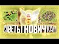 10 СОВЕТОВ НОВИЧКАМ ДЛЯ ЛЁГКОЙ ПРОКАЧКИ В КЛЕШ ОФ КЛЕНС | CLEO CLASH OF CLANS