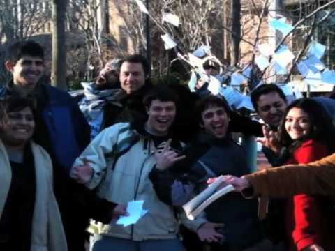 Philly Practices the Art of Living - YES + at Play: "The Sri Sri Tree!"