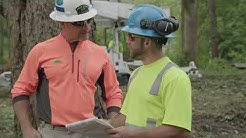 Tree Care of New York Jobsite Highlight