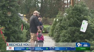 Here's where to recycle your live Christmas trees