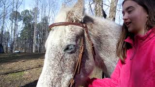 The difference in snaffle bits and shank bits (and why I don't like shanks)