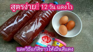 สูตร 12 วันแดงเร็ว!! จุลินทรีย์สังเคราะห์แสงแดงเร็ว และสูตรแก้สีขาวให้เป็นสีแดง ง่ายๆ