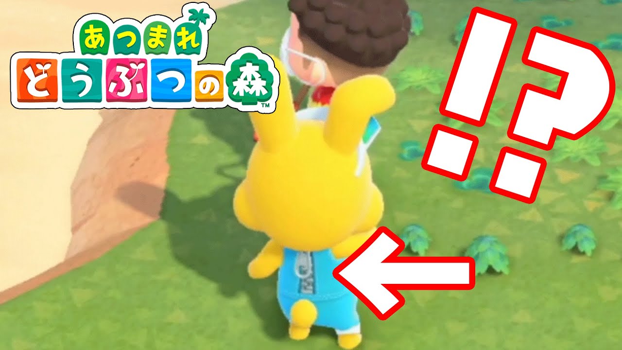 I found a zipper on an animal's back in I found a zipper on an animal's back in