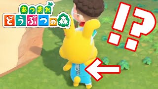 どうぶつの背中にチャックを見つけてしまいました #10【あつまれ どうぶつの森】