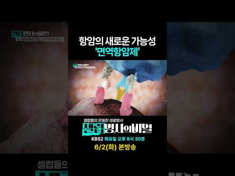 몸의 면역 세포로 암을 물리친다?