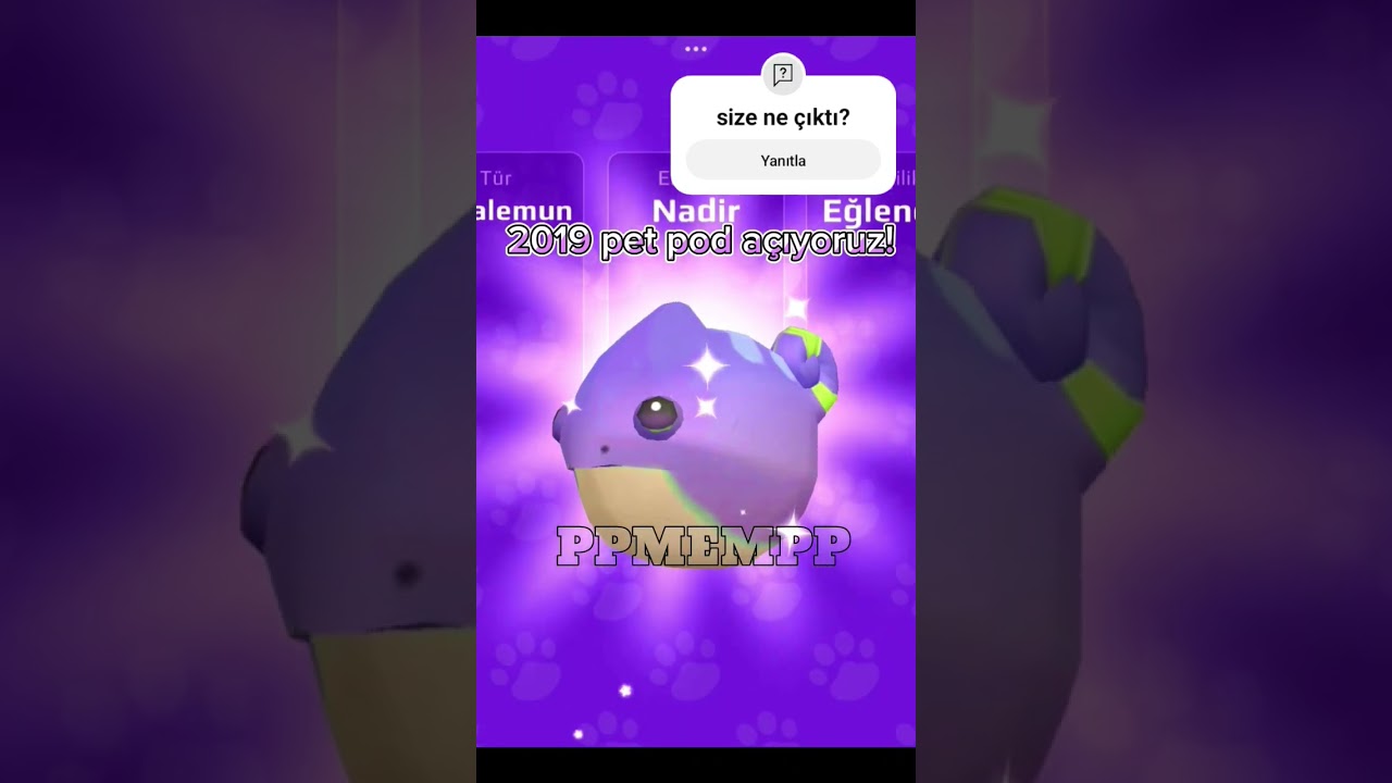 2019 pet pod açıyoruz! 
