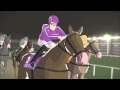 citibet auto betting for horse racing. - YouTube