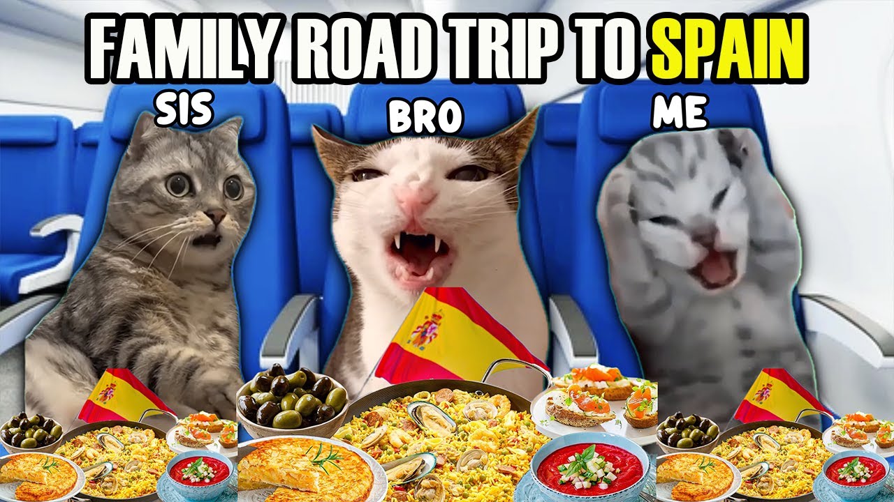 CAT MEMES FAMILY ROAD TRIP TO SPAIN