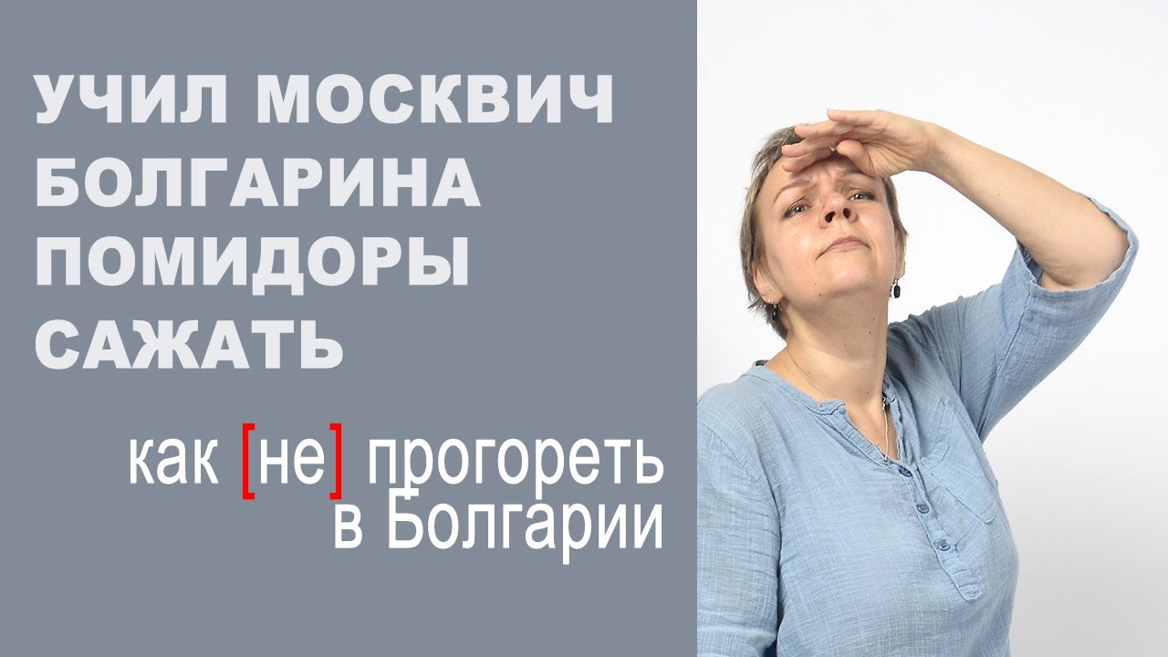 Учил москвич болгарина помидоры сажать: как (не) вести бизнес в Болгарии