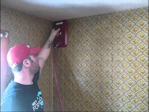 How To Remove Wallpaper Glue Or Paste (The Best & Easiest Way) 