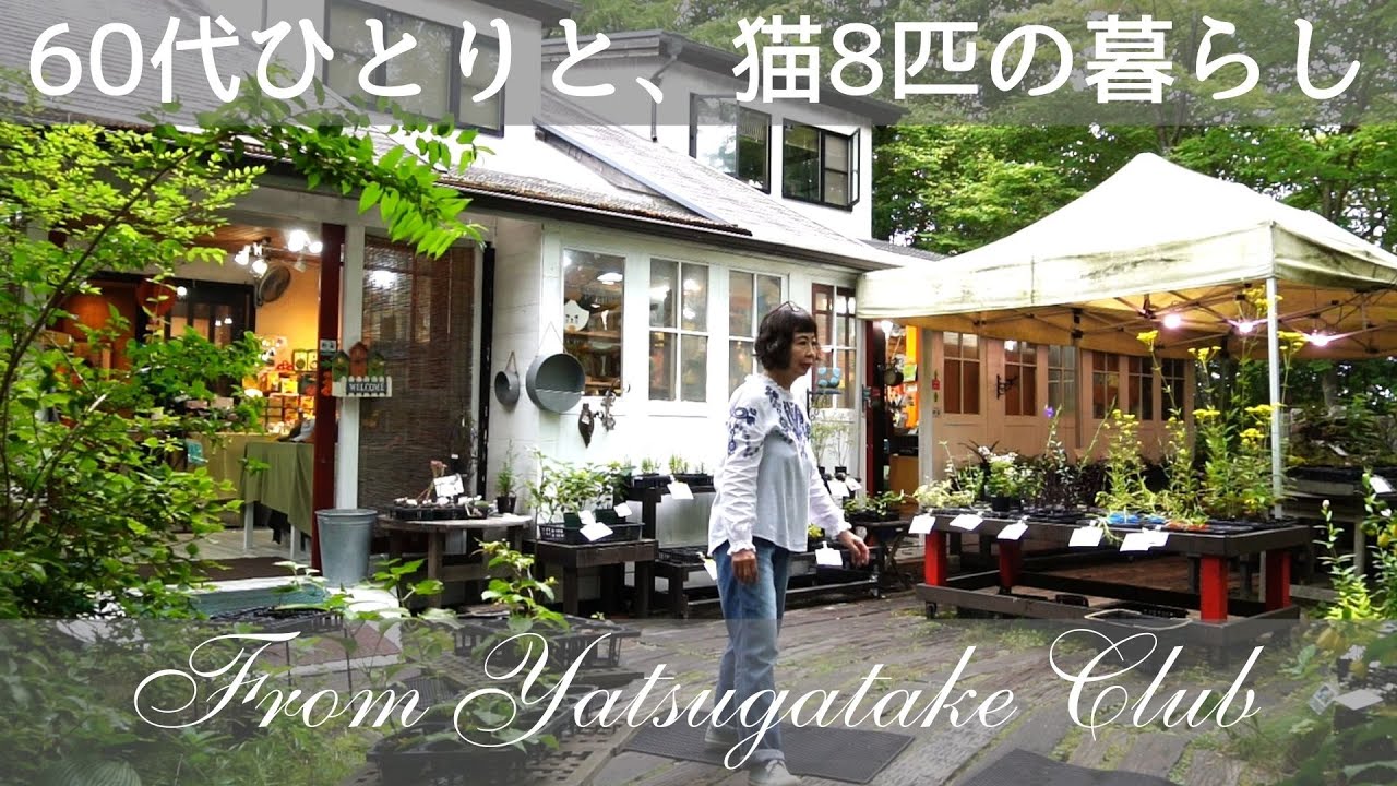 [🍃Эпизод 169] Клуб Яцугатаке🌲Мир связей расширяется после встреч/Мне исполнилось 65 лет.