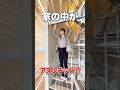 【敷礼0物件😆💖】ロフト付きオシャレワンルーム！しかもネット無料ですよ🏠✨