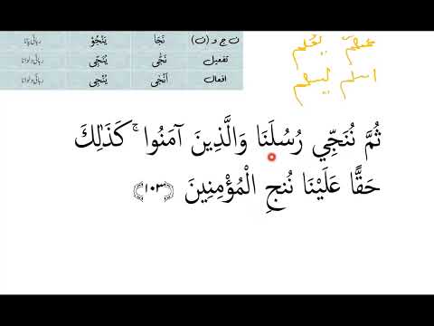 Quran Tafseer Sura Yunus 102 to Hud 2 Session 174
