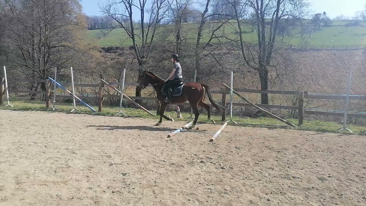 Ici tf 3 ans barres au sol