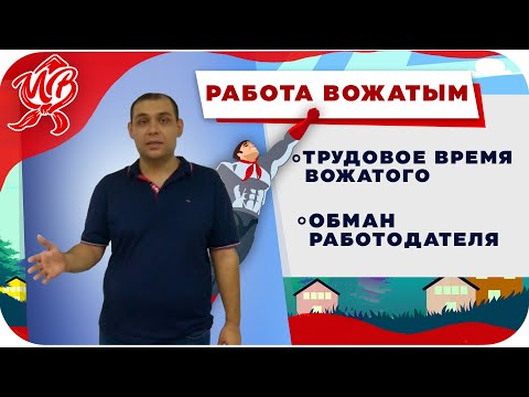 Как стать вожатым | Советы юриста