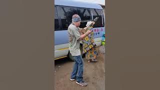 awilio wa mbeya zeluzelu