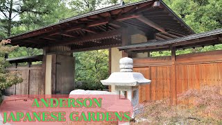 Anderson Japanese Gardens + Sinnissippi Gardens