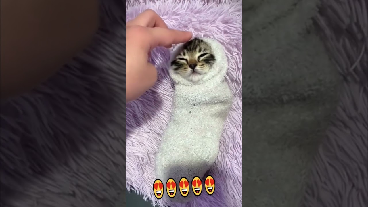 SO ABORABLE!! ❤️❤️🥰 