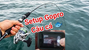 Thiết lập chế độ HindSight - Quay câu cá với Gopro