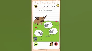 BRAIN TEST 4 LEVEL 173