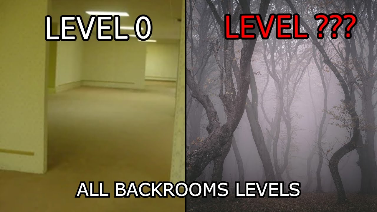 BACKROOMS/FOUND FOOTAGE LEVELS 0 - 100