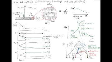L26 Chemo-mechanical coupled processes: shale and organic matter swelling