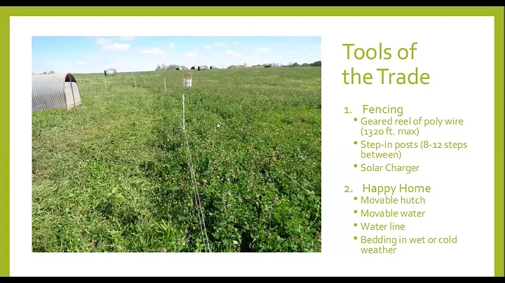 Diversifying Rations for Pastured Pigs - Farminar