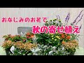 おなじみのお花で秋の寄せ植え！プランツギャザリング