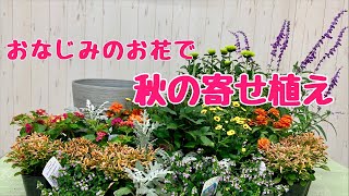 おなじみのお花で秋の寄せ植え！プランツギャザリング