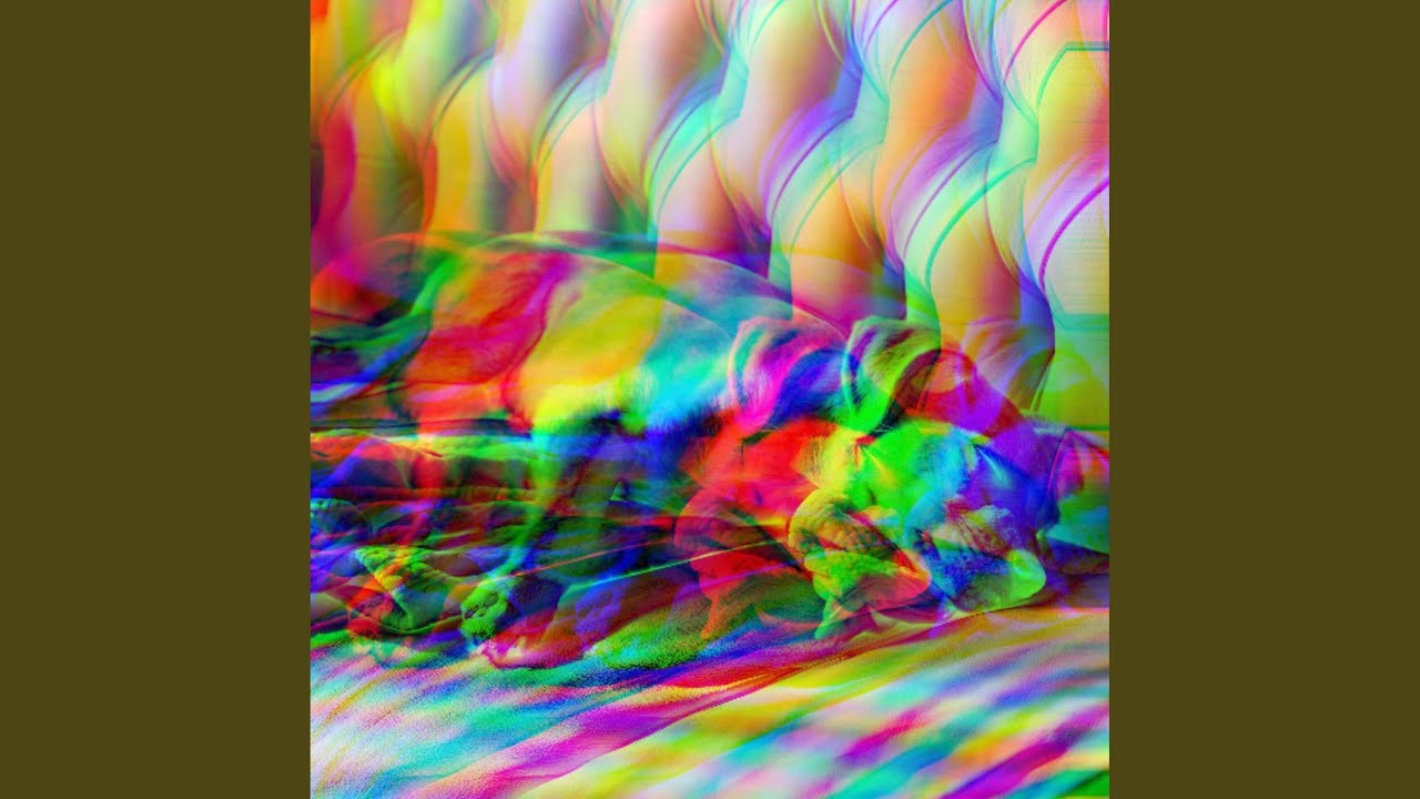 High-class Stress Free Doggos