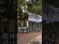 視聴必須⚠️今すぐ見てください！斎藤一人さんが参拝された神社。この動画に出会ったら願い事が叶います#shorts #遠隔参拝 #パワースポット #斎藤一人 #龍神