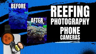 Reef Aquarium Photography and Videography - Part 1: Phone Cameras screenshot 5