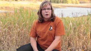 Full Fall Migration and birds hitting your window Guide