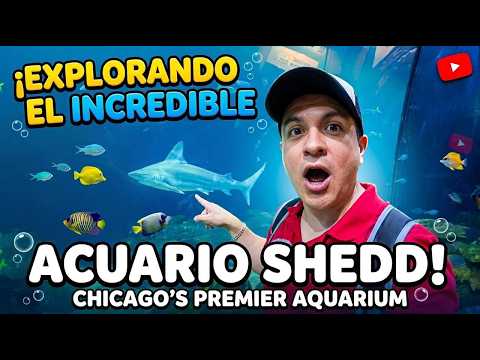 ENTRÉ AL ACUARIO MÁS IMPRESIONANTE DE CHICAGO 😱🐠