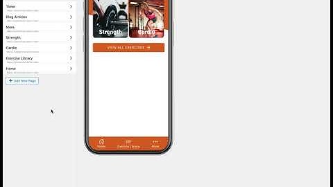 Custom Javascript in AppPresser