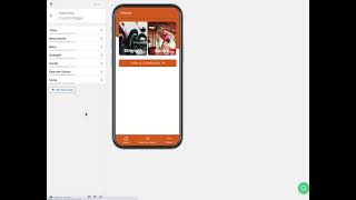 Custom Javascript in AppPresser