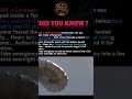 The “Balloon Boy” Hoax That Fooled America 🎈