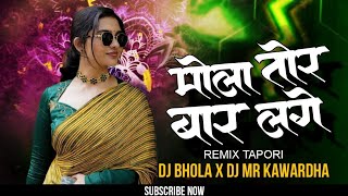 मोला तोर बार लागे हे बानी ||Mola Tor Bar Lage He Bani || Cg Dj Song - Dj Mr & Dj Bhola Music