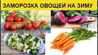 ЗАМОРОЗКА ОВОЩЕЙ НА ЗИМУ / Проверенные способы