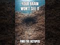 Your Brain Won’t See This Octopus | 95% FAIL