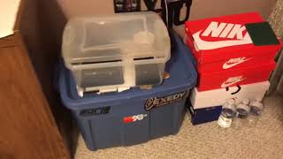 Ball python Temperature and humidity guide