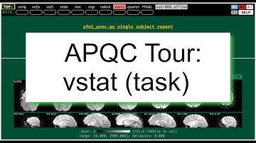 [AFNI Academy] APQC HTML: Tour vstat (task)