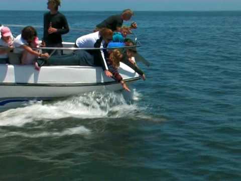 Boat Cruises, Walvis Bay, Namibia