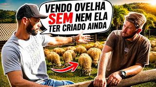 O jeito Certo de criar ovelhas.. o que ninguém conta!
