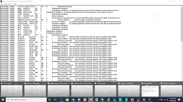Cis Regulatory elements in promoter using plantCare