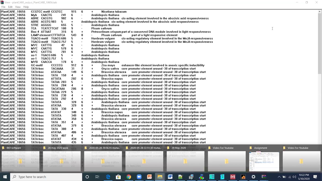 Cis Regulatory elements in promoter using plantCare