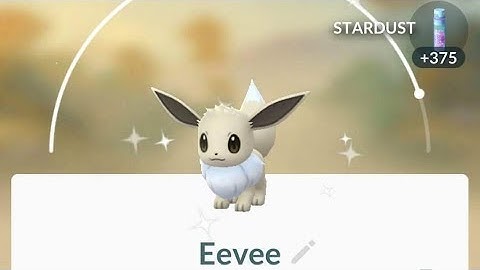 Shiny Eevee Evolve Pokémon GO (Community Day)